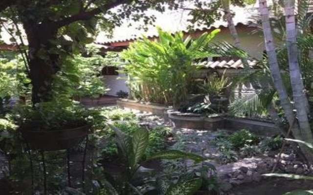 Paz de Luna Bed & Breakfast