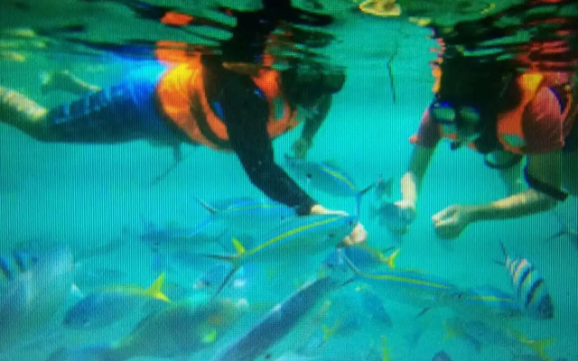 Marina Bay Resort & Restaurant Tioman