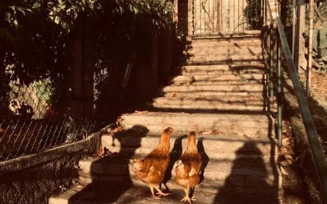 Gli amici di Carla