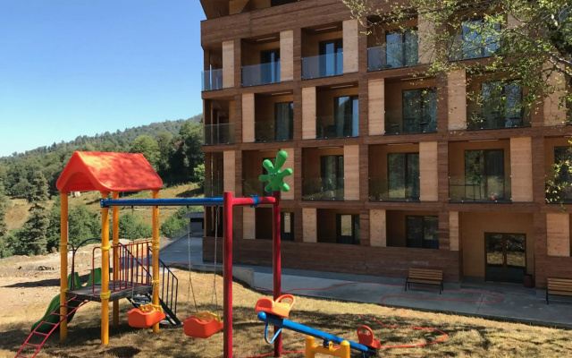 Valley Bakuriani, apartment 303