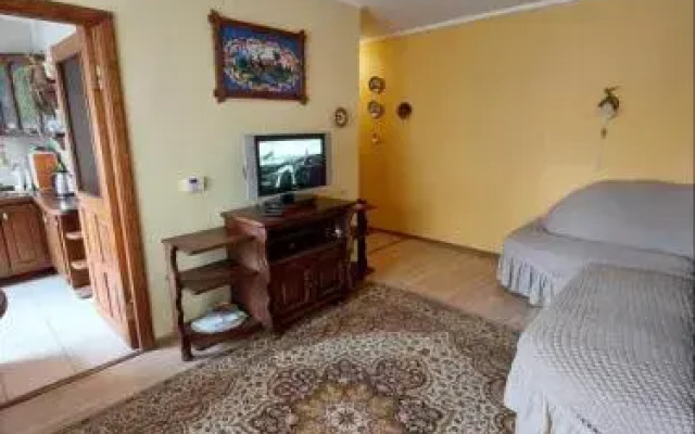 Apartment On Voli Avenue 21