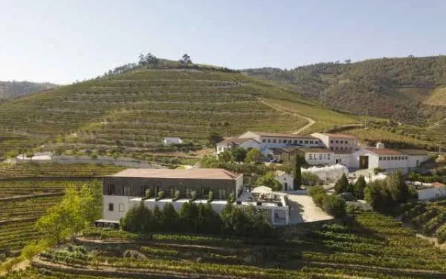 Quinta de São Luiz - The Vine House