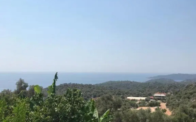 Senayablaevpansiyonculuk