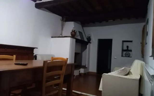 Violino