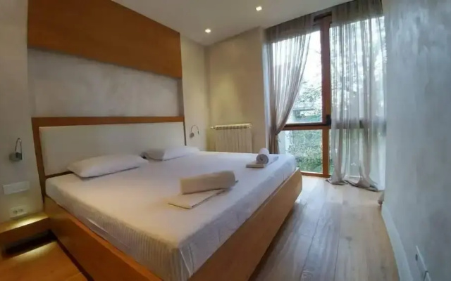 Belgrade Center Apartment  Lux 2
