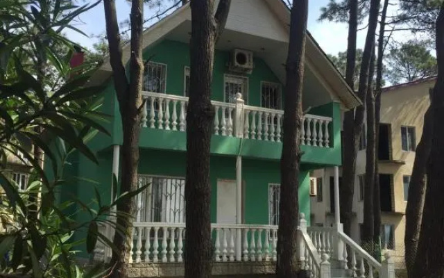 Green House