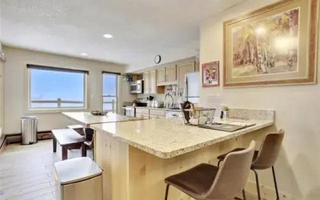 Skiwatch 102 - 2 Br Condo