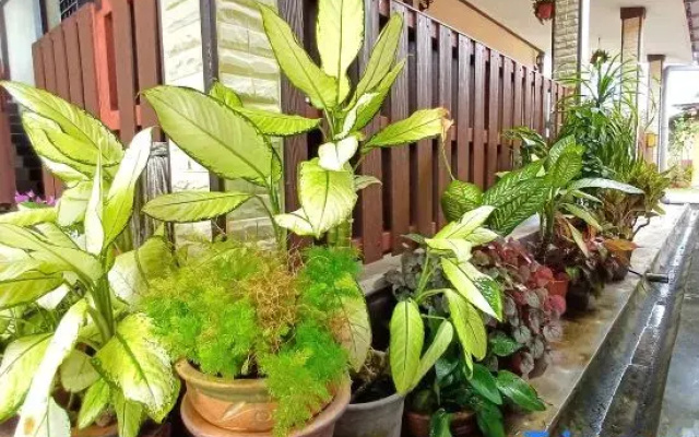 Haji Hassan Guest House