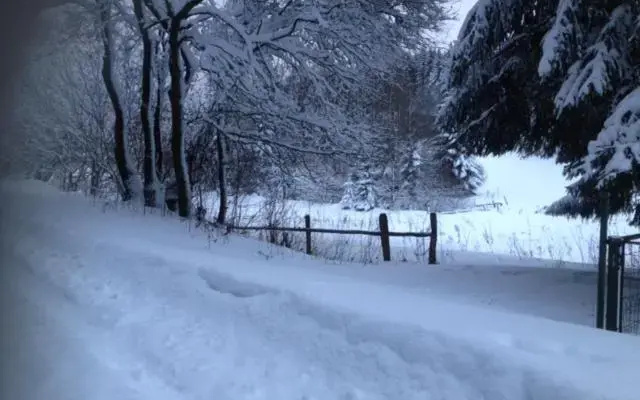 Chalet Le Grand Cerf