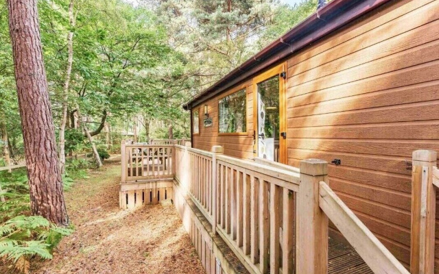 Pine Lodge - Kelling Heath Holiday Park - 20952