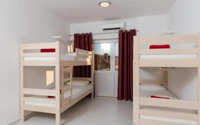 Hostel Free Bird