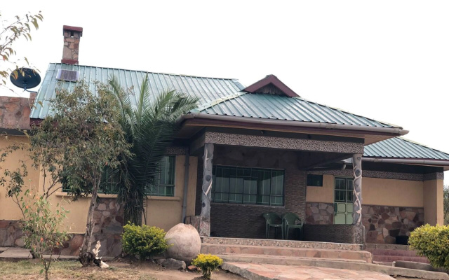 Giraffe Lookout House
