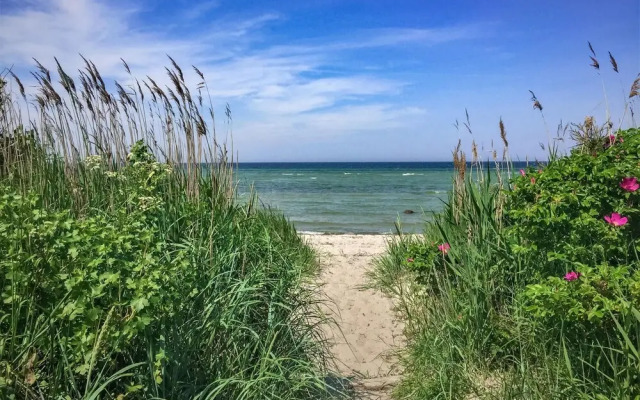 Sanddorn
