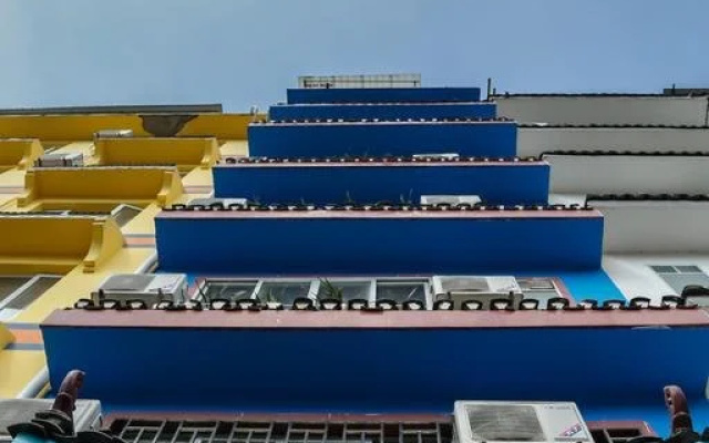 Lazy cat hostel