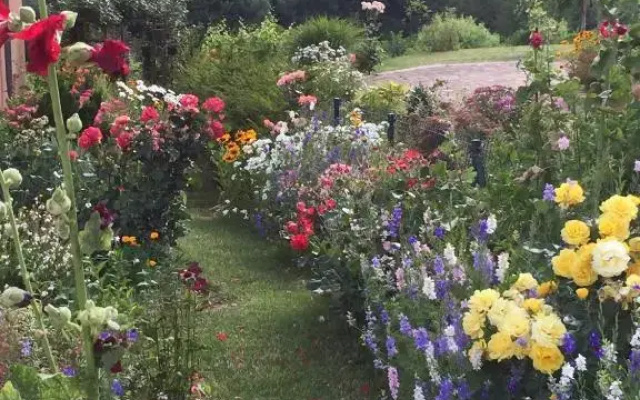 Gîte LES CEPAGES