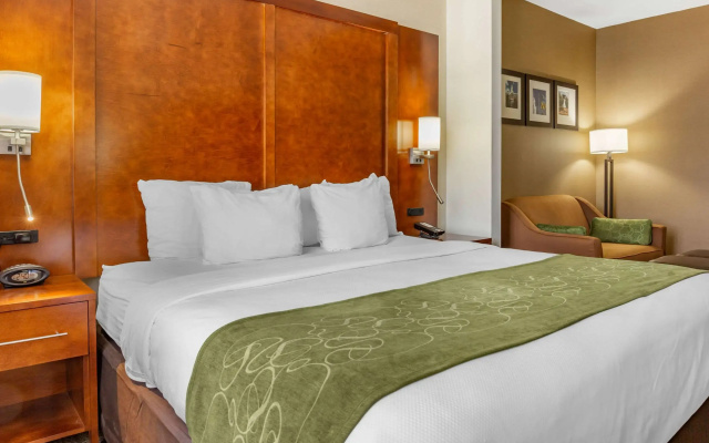 Comfort Suites Dover University Area