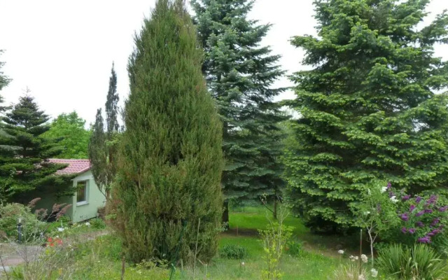 Bungalow Am Kustrinsee Bei Lychen