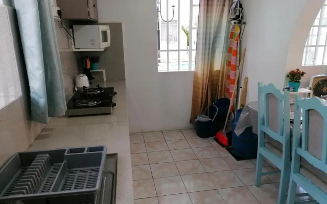 Camelia 2 Flic en Flac Mauritius