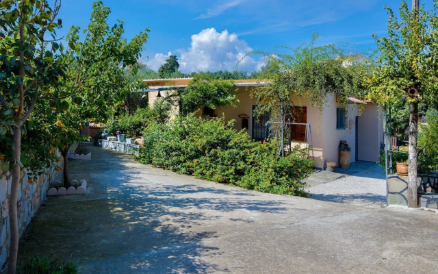 The Olive House