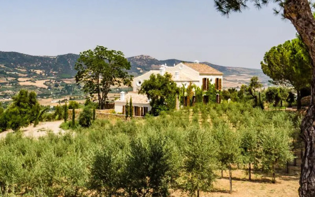 Cortijo LA Almazara