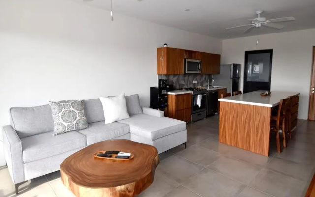 Agaves 203