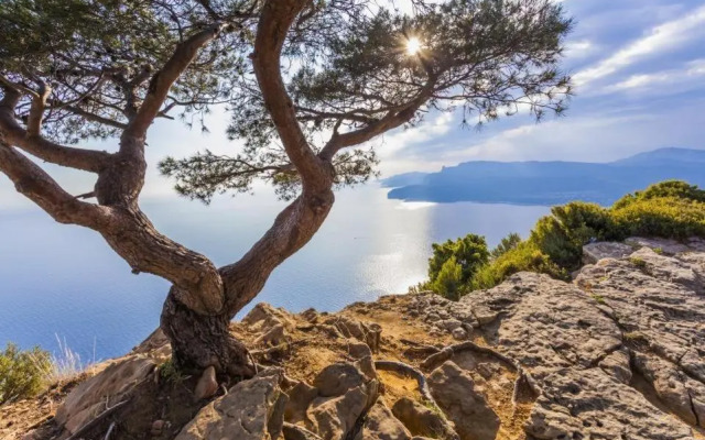 T2 40m2 + jardin à 10min à pied des plages