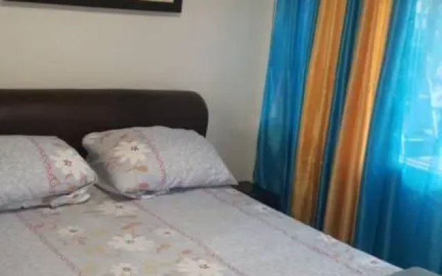 Mansholl Luxurious Apartment