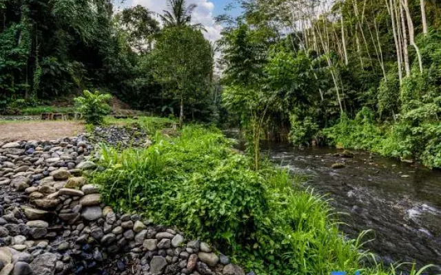 The Pala Ubud by Elite Havens