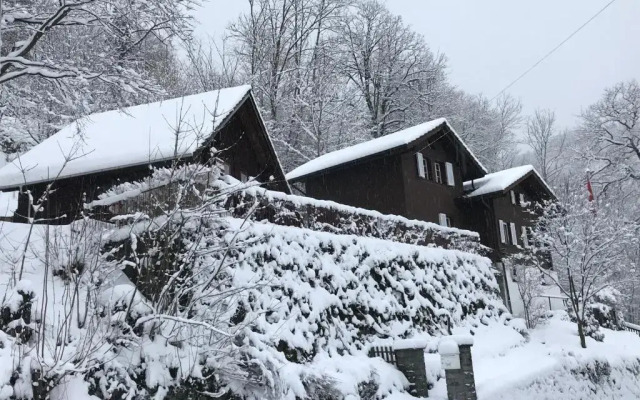 Romantic private superior Swiss Chalet with Hottub