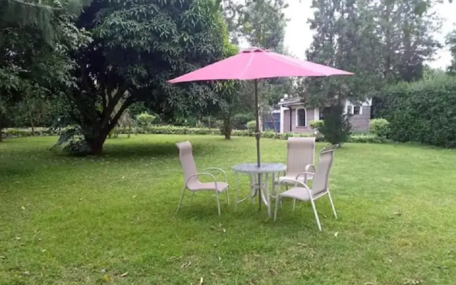 Muthaiga North Studio House