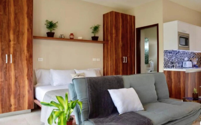 Entire apartment at DK TULUM
