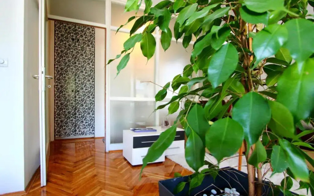 Apartment Melon