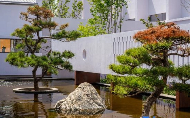 Purple House Koi Pond Courtyard Guesthouse