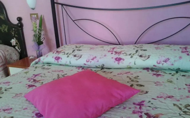 B&B Anny