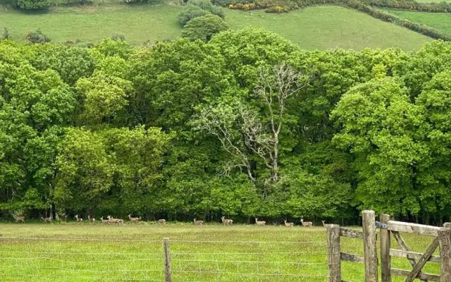 Paradise Position on Exmoor National Park