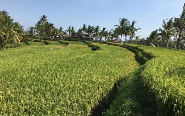 El Homestay Bali