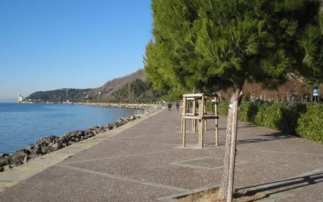 Casa Barcolana