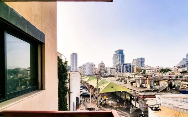 Kalisher Ophrys in Tel Aviv-yafo