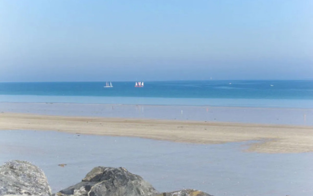 Le Cedre Bleu (PLX107)