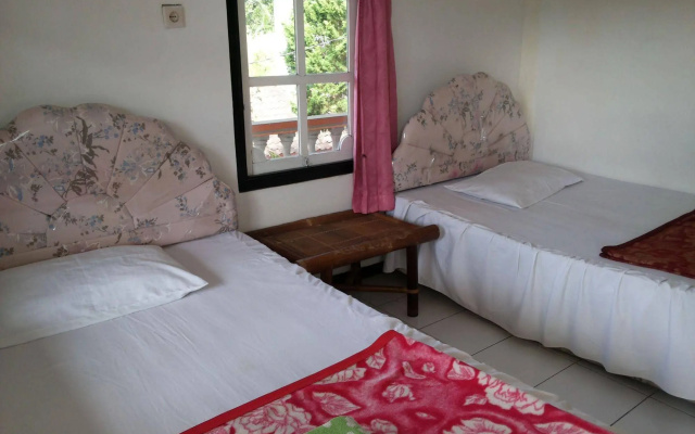 Hotel Surya