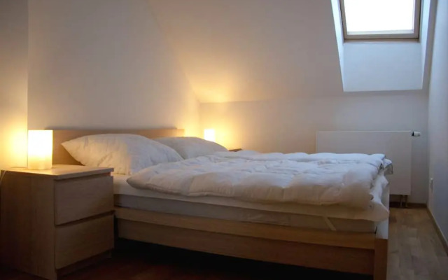 Apartmány u sjezdovky Javor