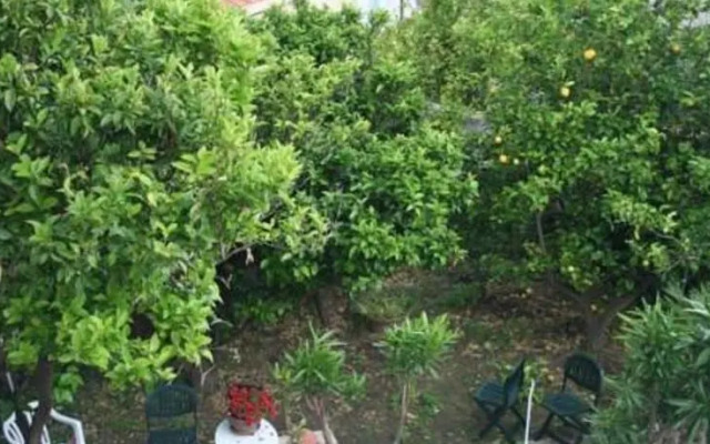 Villino Oliva