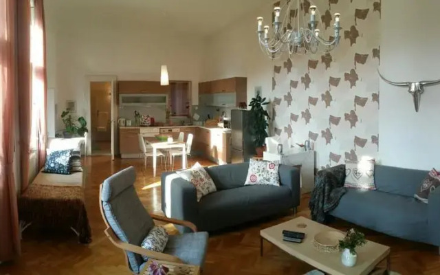 LoftV65