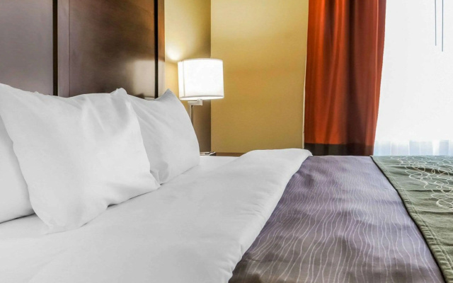 Comfort Inn & Suites Artesia