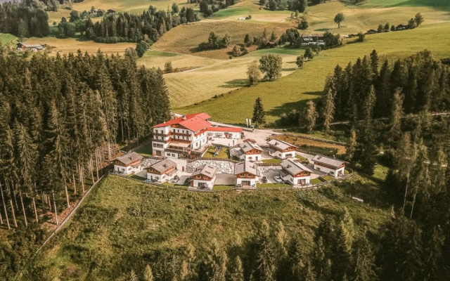 House Waldkauz Werfenweng