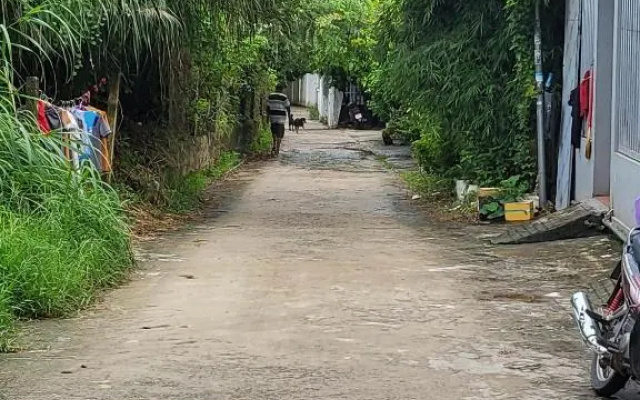 Davi hostel