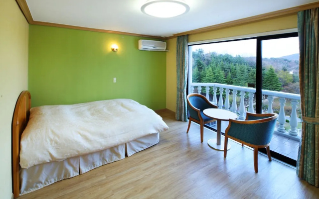 Hanwha Resort Baegam Hot Springs