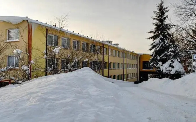 Storczyk