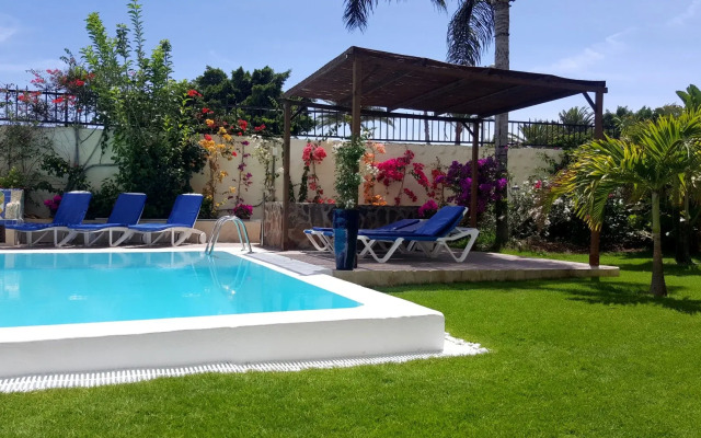 Vip Apartamentos Nogal