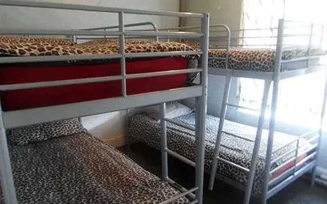 The Hangover Hotel - Hostel